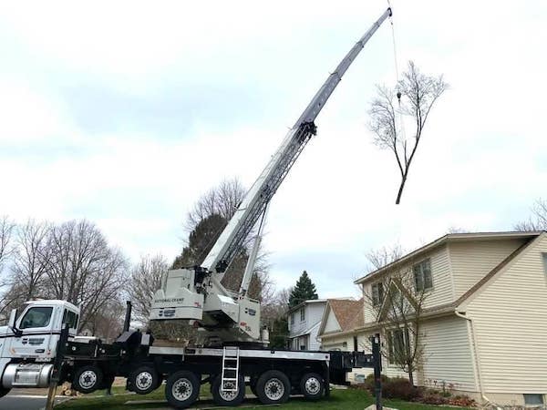 Northland Crane - Tree Industry - 1