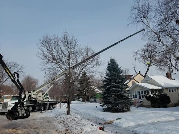 Northland Crane - Tree Industry - 2